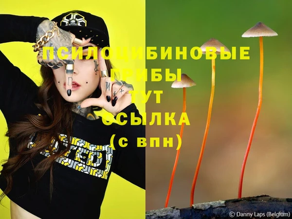 круглые Алексин